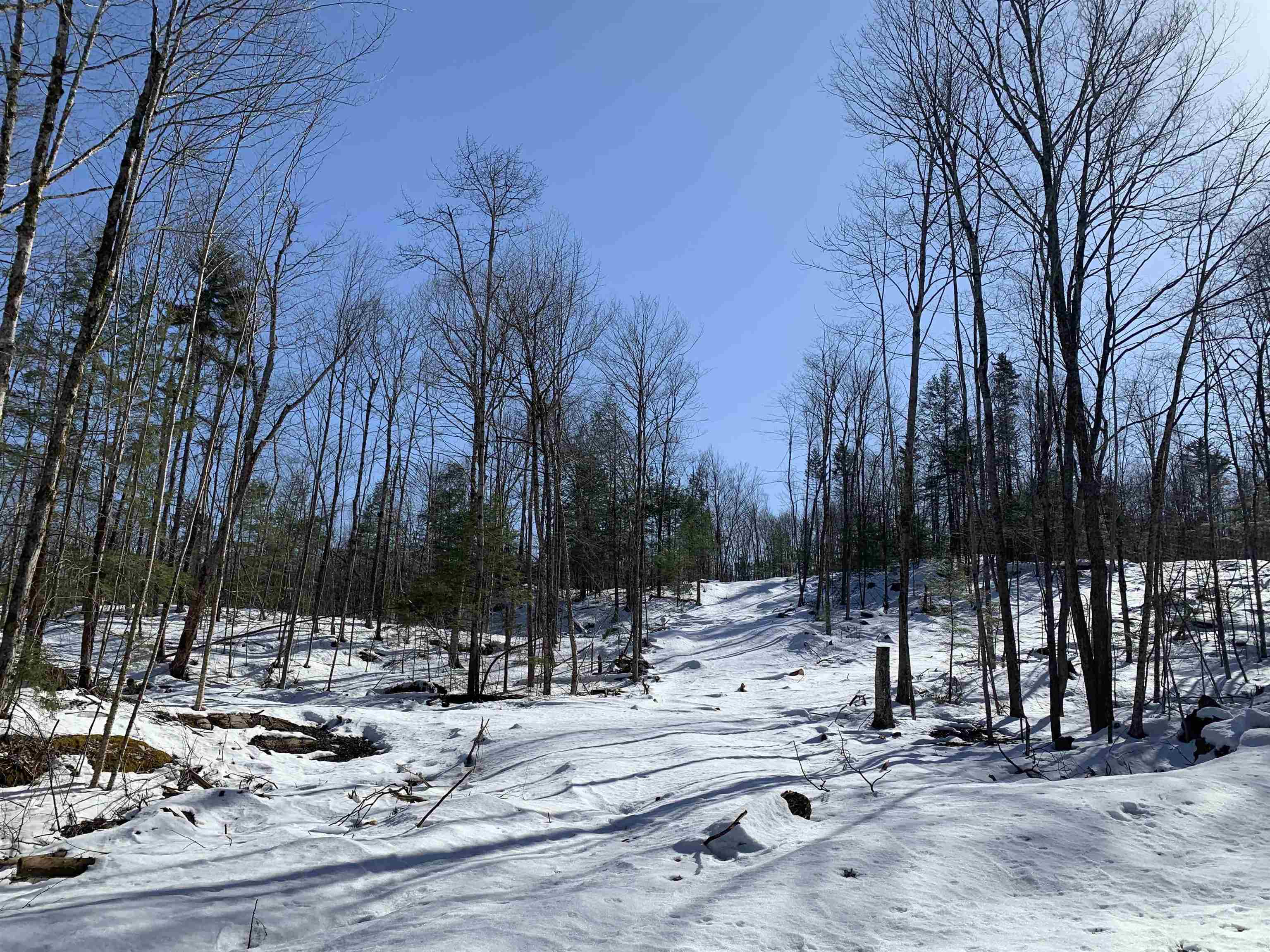 2a Pratt Road Alstead, NH 03602 - Photo 26 of 39