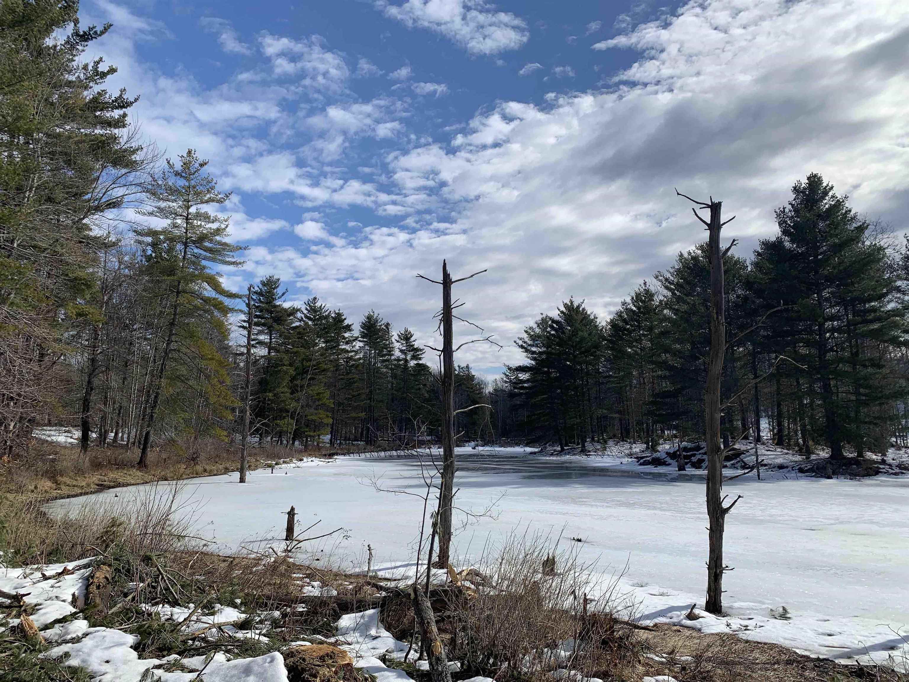 2a Pratt Road Alstead, NH 03602 - Photo 3 of 39