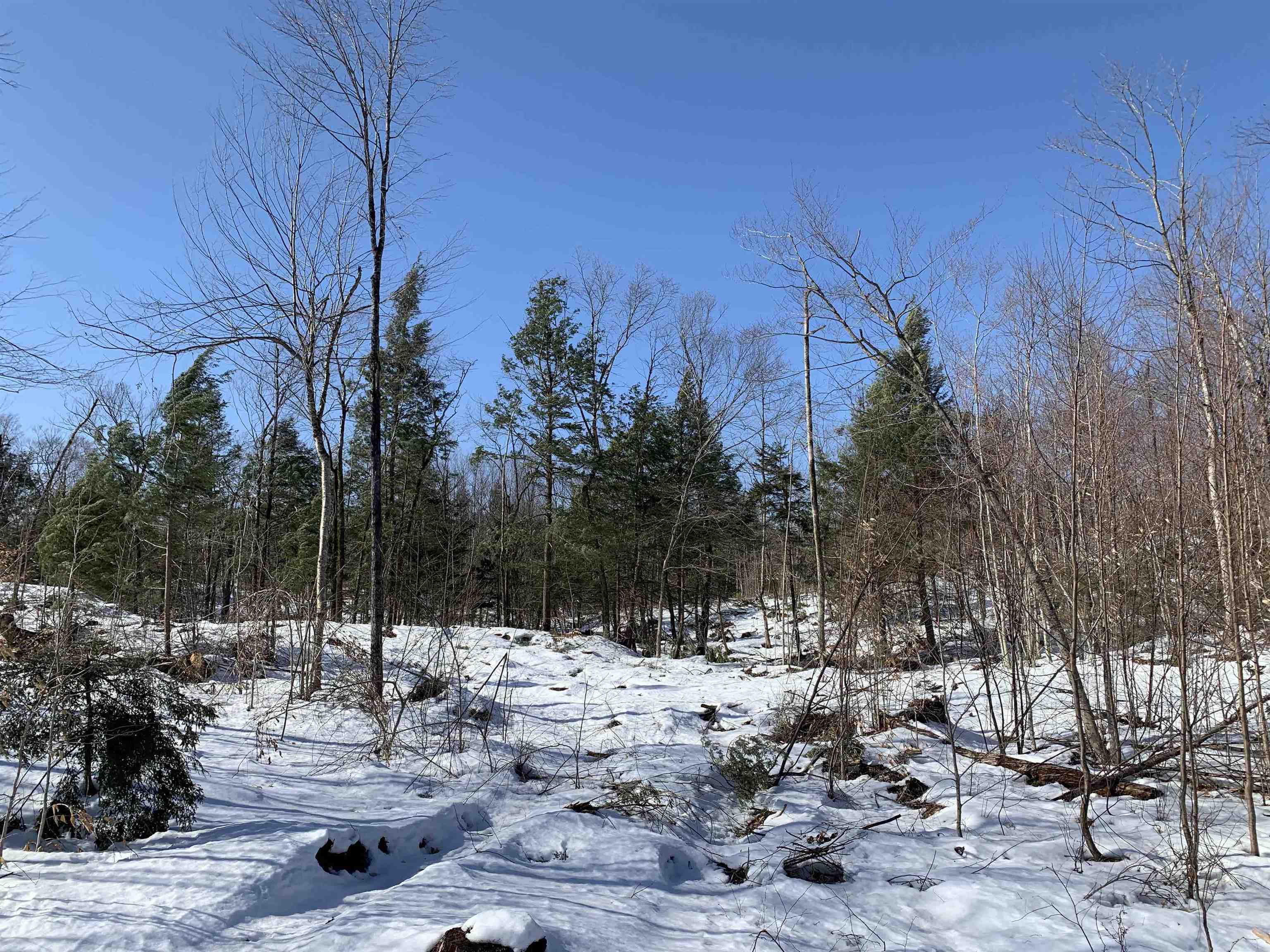2a Pratt Road Alstead, NH 03602 - Photo 34 of 39