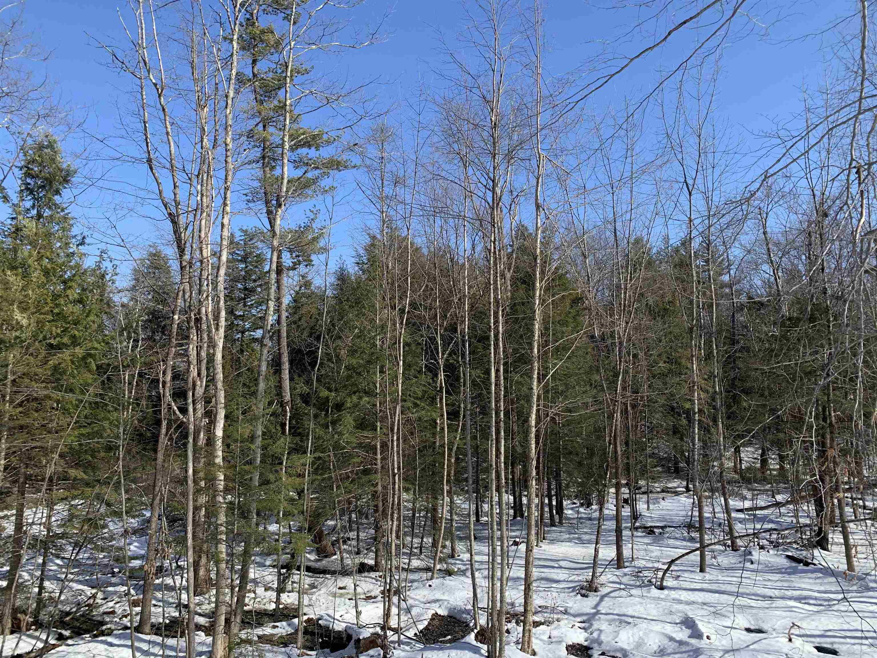 2a Pratt Road Alstead, NH 03602 - Photo 36 of 39
