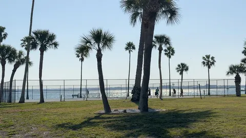 a view of a swimming pool with lawn chairs