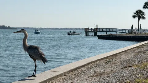 $245,000 | 8 Glencoe Place, Unit 104, Dunedin, FL 34698