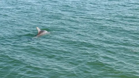 $239,900 | 8 Glencoe Place, Unit 104, Dunedin, FL 34698