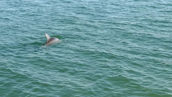 $239,900 | 8 Glencoe Place, Unit 104, Dunedin, FL 34698