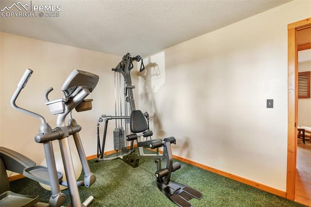 1019 Pine Ridge Road Woodland Park, CO 80863 - Photo 23 of 36 Gallery Image 23