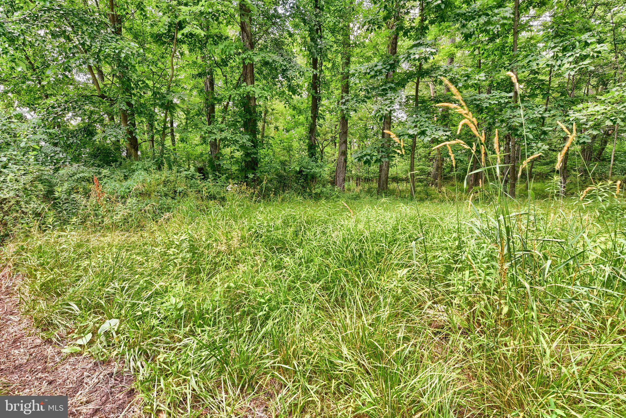 3740 Beagle Road Middletown, PA 17057 - Photo 47 of 70 wooded acreage
