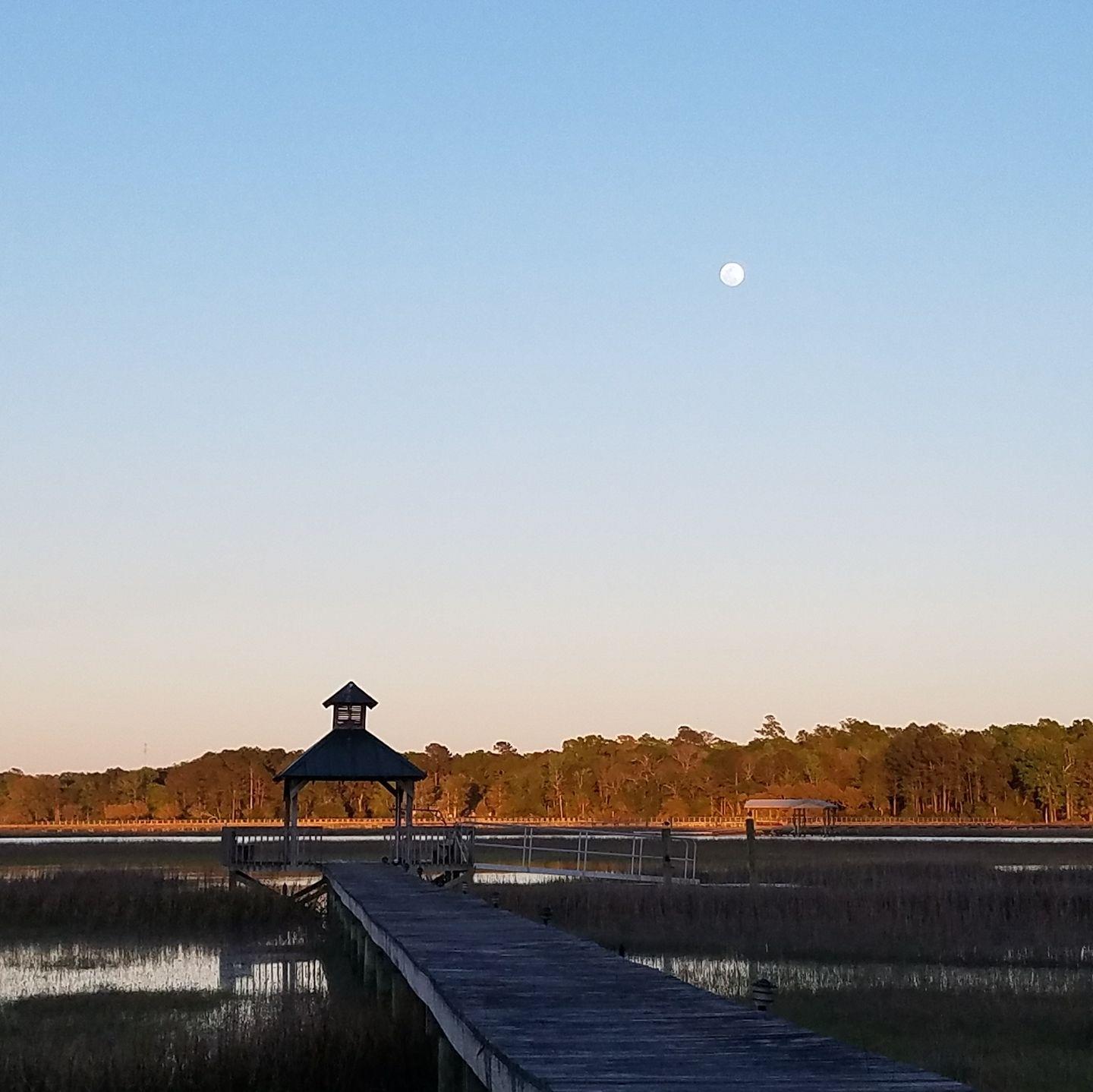 1964 Longcreek Road Wadmalaw Island, SC 29487 - Photo 29 of 58 wadmalaw5