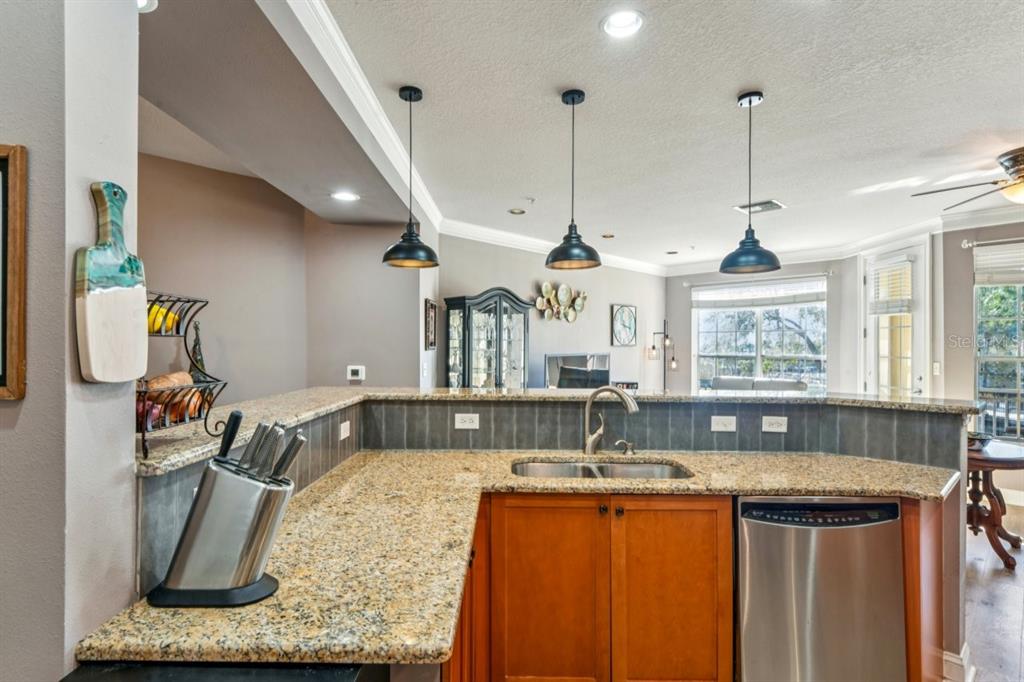 6319 Sunset Bay Circle Apollo Beach, FL 33572 - Photo 13 of 87 a kitchen with sink refrigerator and window