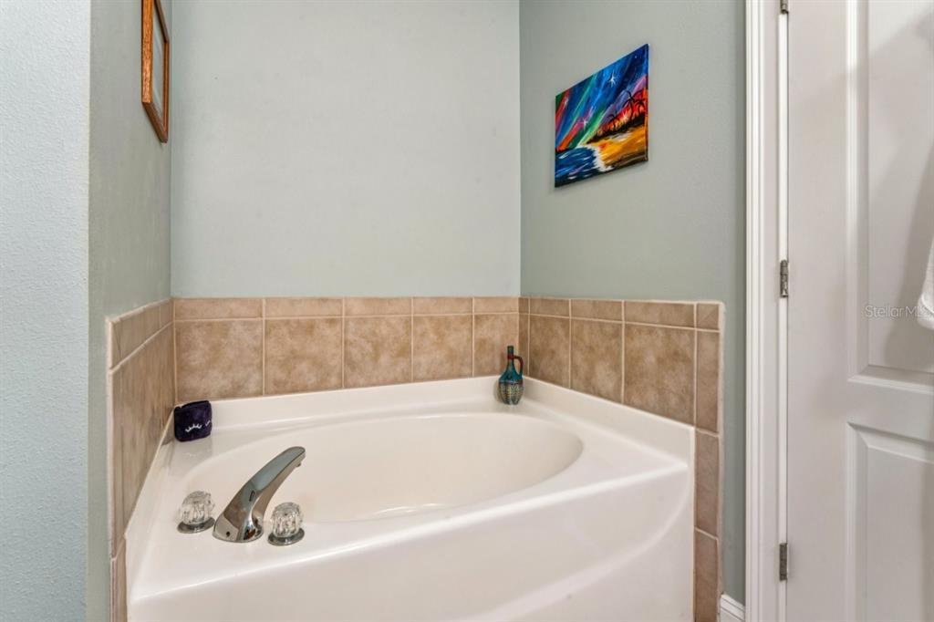 6319 Sunset Bay Circle Apollo Beach, FL 33572 - Photo 46 of 87