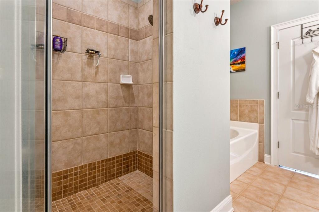 6319 Sunset Bay Circle Apollo Beach, FL 33572 - Photo 47 of 87 a bathroom with a shower