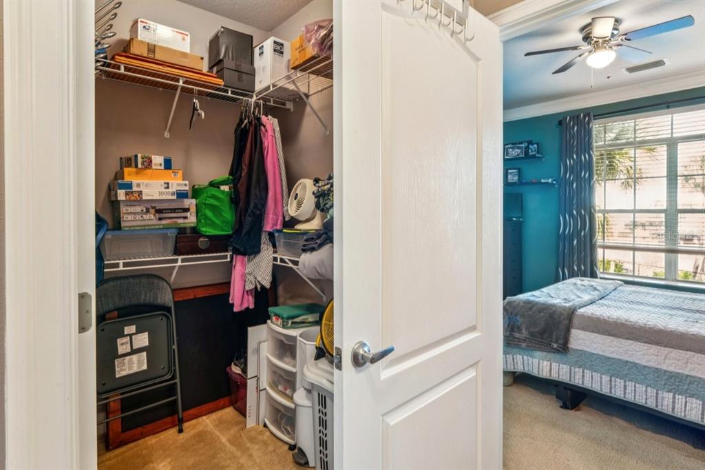 6319 Sunset Bay Circle Apollo Beach, FL 33572 - Photo 58 of 87 a bed room with a bed and a window