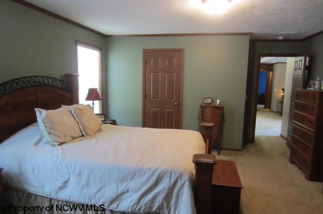 1038 Wymer Run Road Jane Lew, WV 26378 - Photo 17 of 20 Gallery Image 17