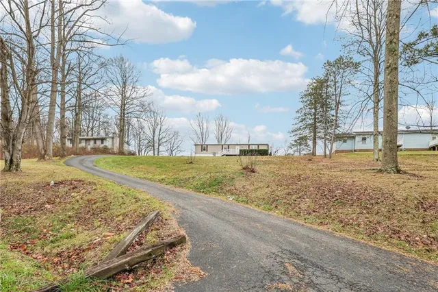 a view of dirt yard with large trees