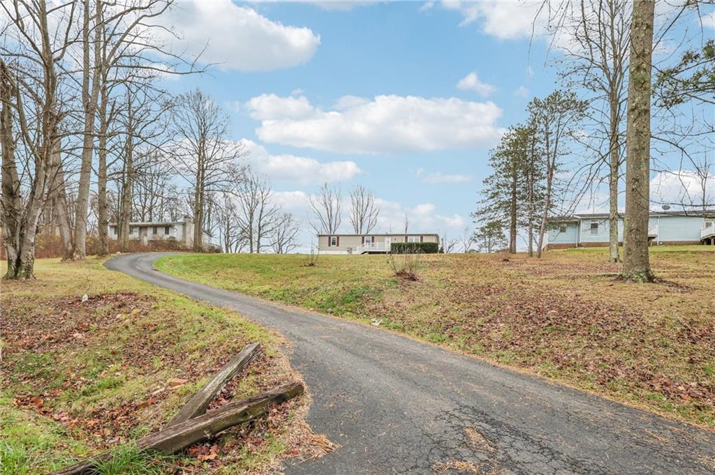 a view of dirt yard with large trees