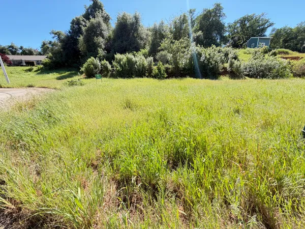 a view of an ocean from a yard