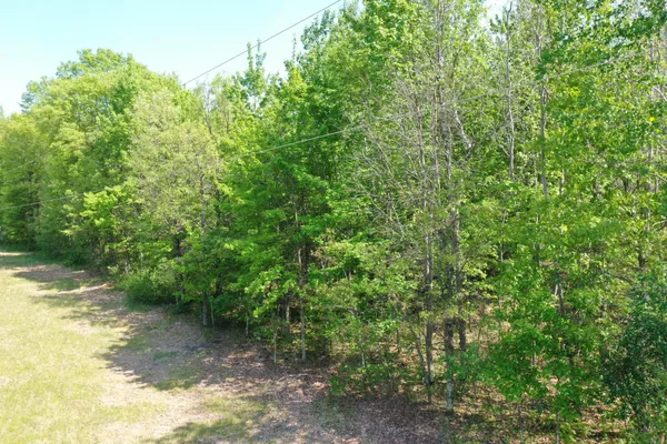 $50,000 | Xxx Evergreen Avenue, St. Croix Falls, WI 54024