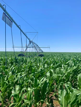 $1,728,000 | 4972 Country Club Lane, Stratford, TX 79084