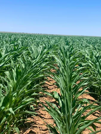 $1,728,000 | 4972 Country Club Lane, Stratford, TX 79084