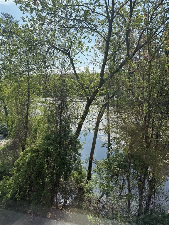 310 Codman Hill Road, Unit 34D Boxborough, MA 01719 - Photo 13 of 17 a backyard of a house with lots of trees