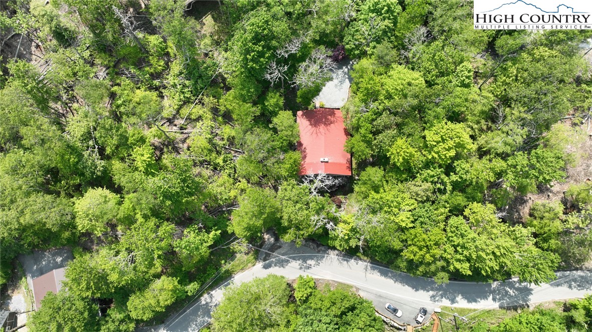 216 Lake ( 2 Lots) Road Beech Mountain, NC 28604 - Photo 2 of 40