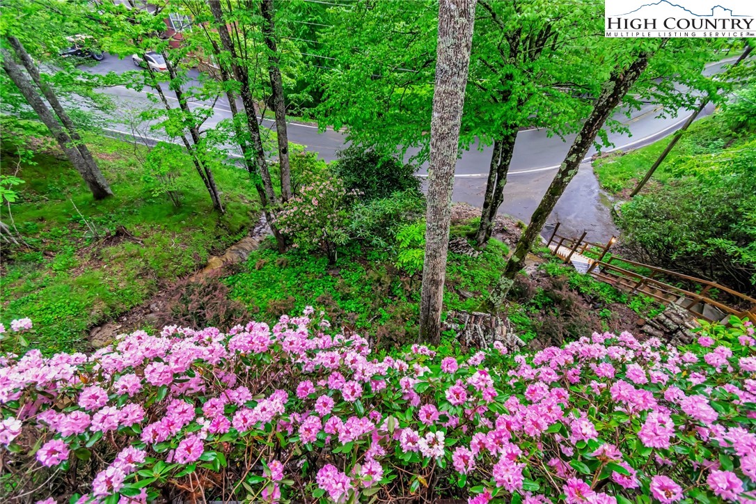 216 Lake ( 2 Lots) Road Beech Mountain, NC 28604 - Photo 25 of 40