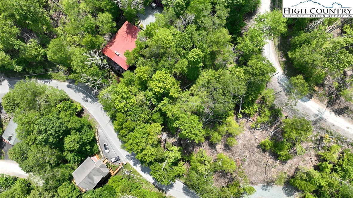 216 Lake ( 2 Lots) Road Beech Mountain, NC 28604 - Photo 40 of 40