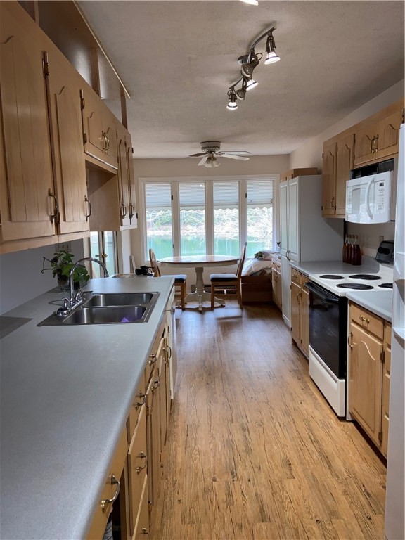 210 North Little River Road Tamassee, SC 29686 - Photo 8 of 39 Gallery Image 8