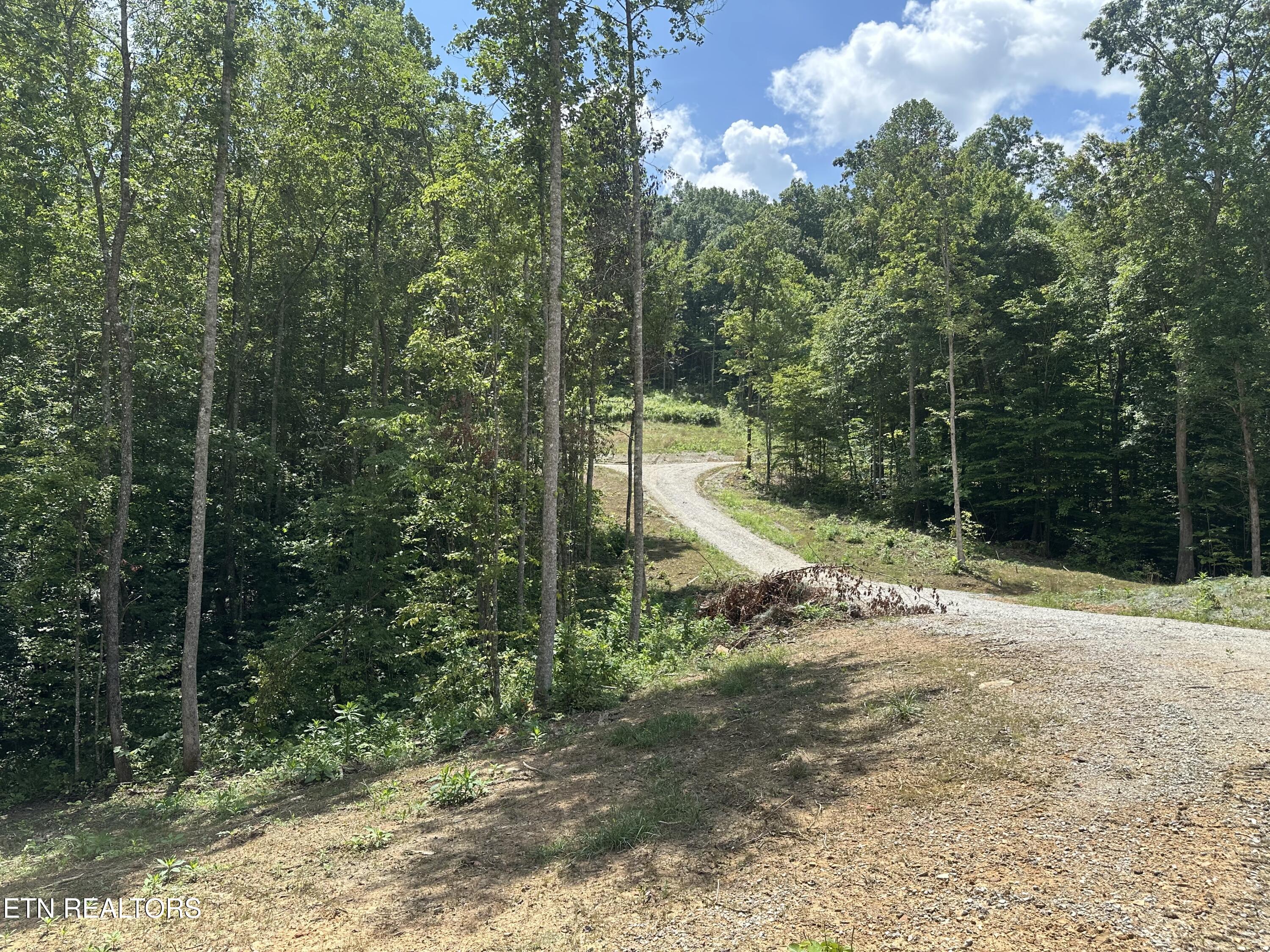 143 Elk Ridge Lane Newcomb, TN 37819 - Photo 11 of 45 IMG_8481