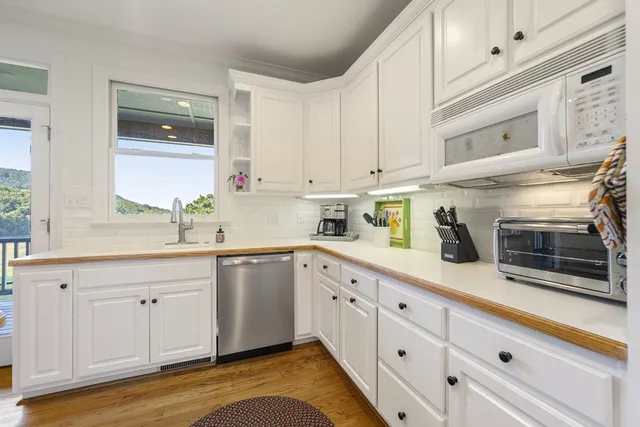a view of a lake with a mountain in the background