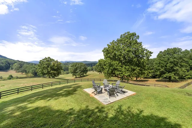 a view of a park with large trees