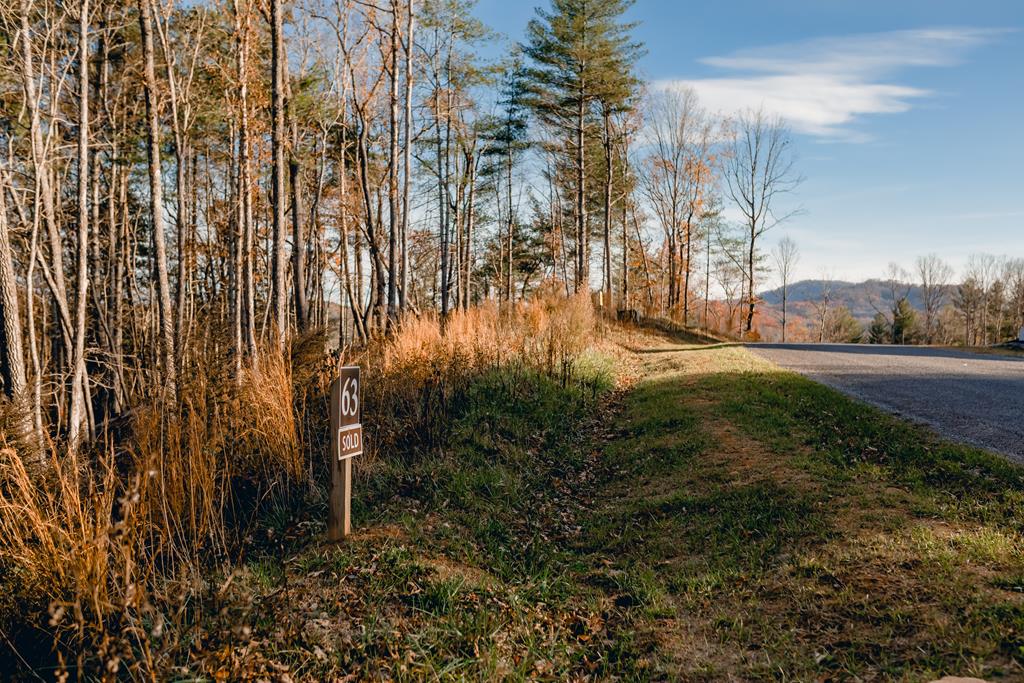 Lot 63 Ridges Of Blue Ridge Blue Ridge, GA 30513 - Photo 1 of 8 Main View
