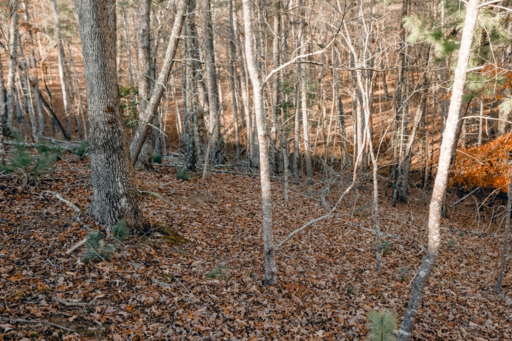 Lot 63 Ridges Of Blue Ridge Blue Ridge, GA 30513 - Photo 4 of 8