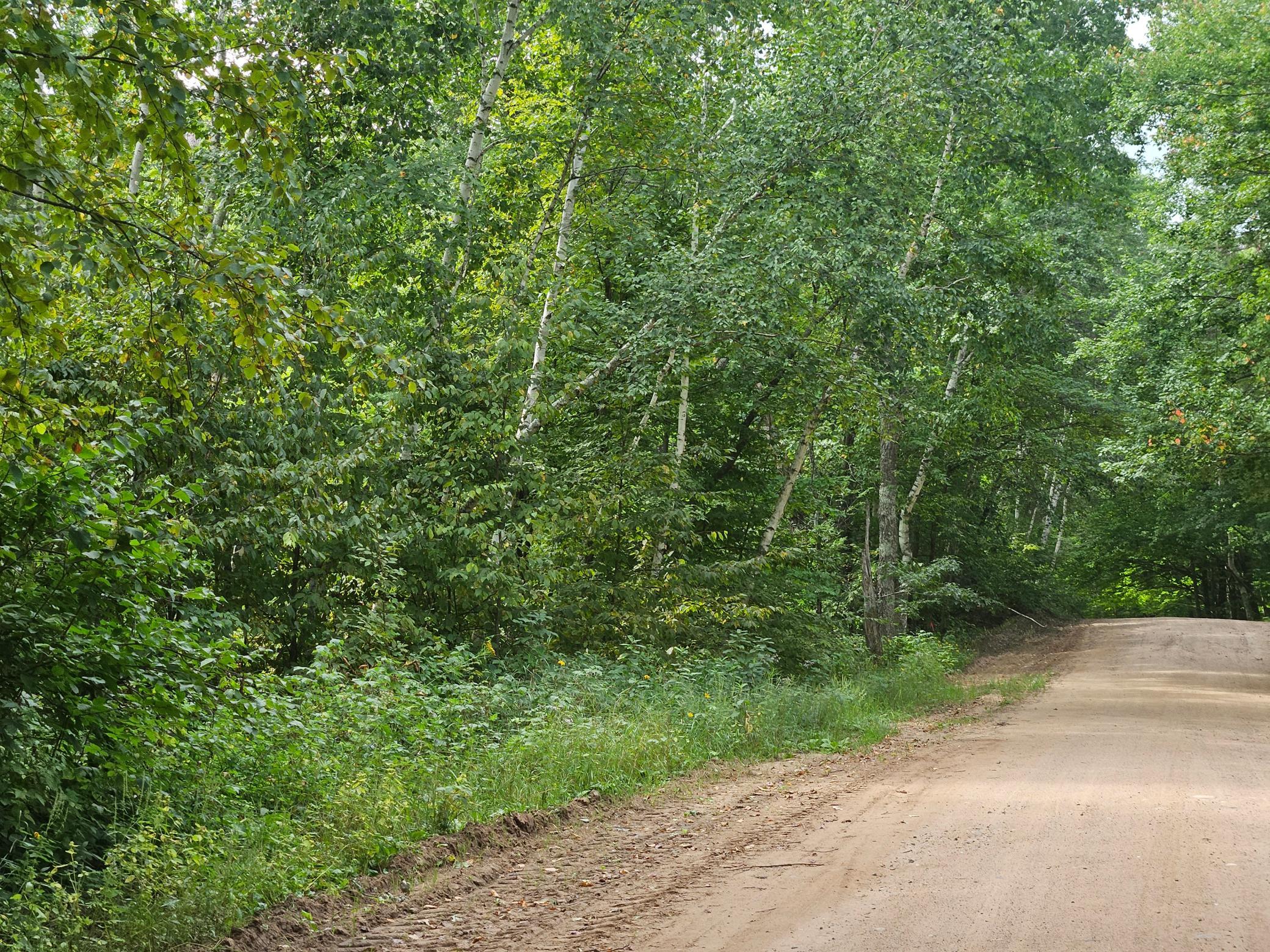 Tbd Tract B Tbd Tract B Richfield Road Southwest Pillager, MN 56473 - Photo 13 of 15