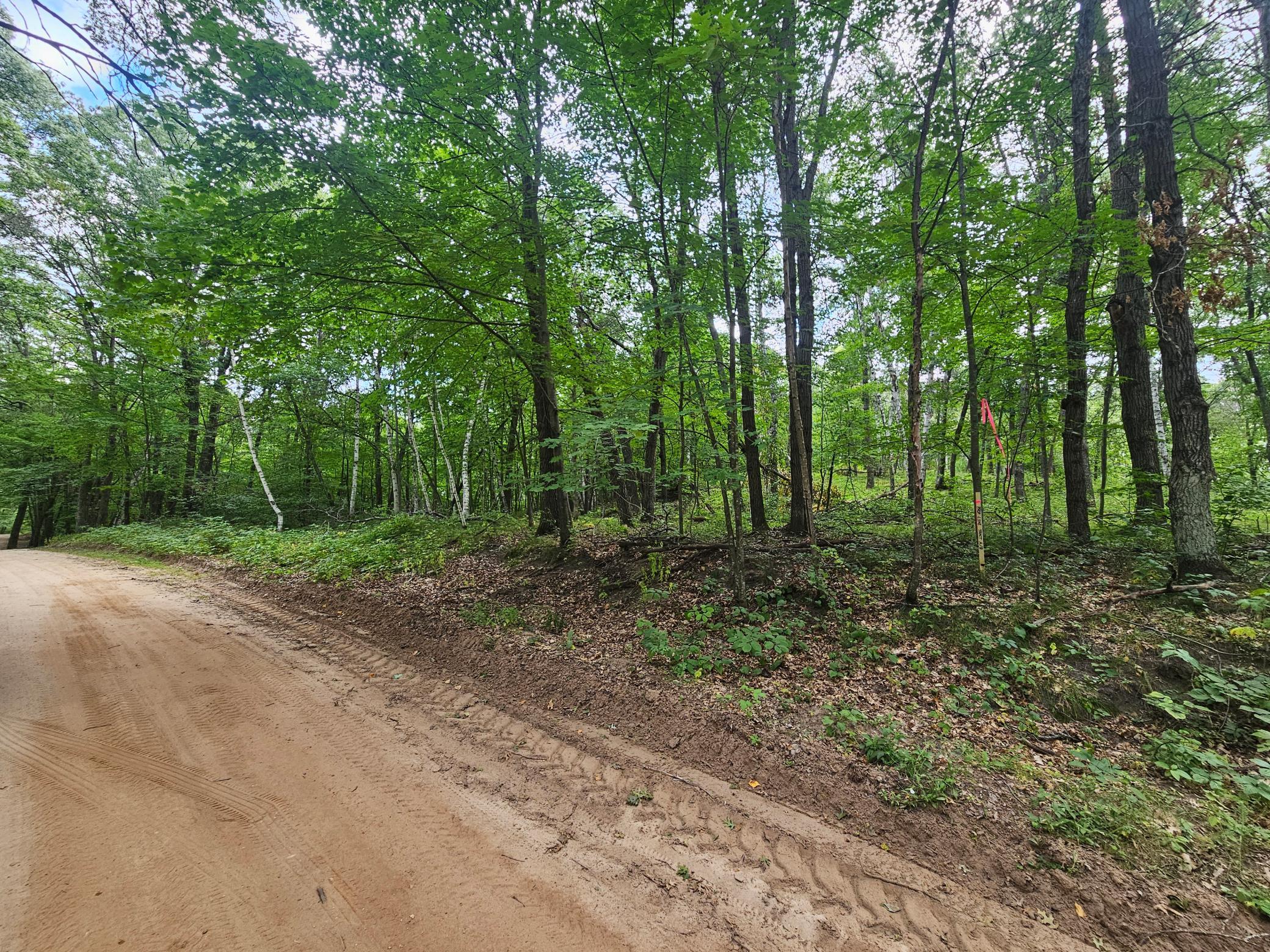 Tbd Tract B Tbd Tract B Richfield Road Southwest Pillager, MN 56473 - Photo 2 of 15