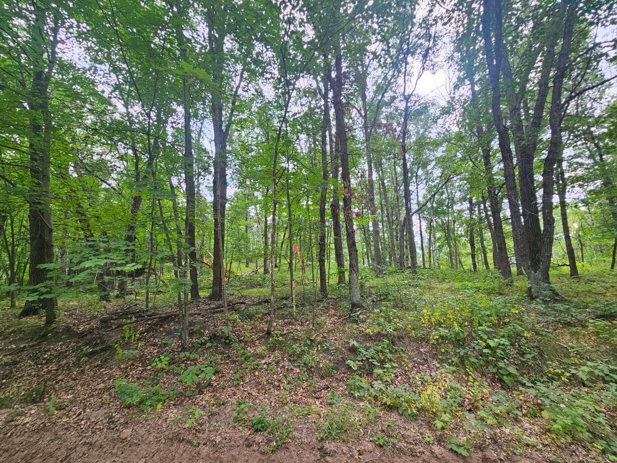 Tbd Tract B Tbd Tract B Richfield Road Southwest Pillager, MN 56473 - Photo 3 of 15