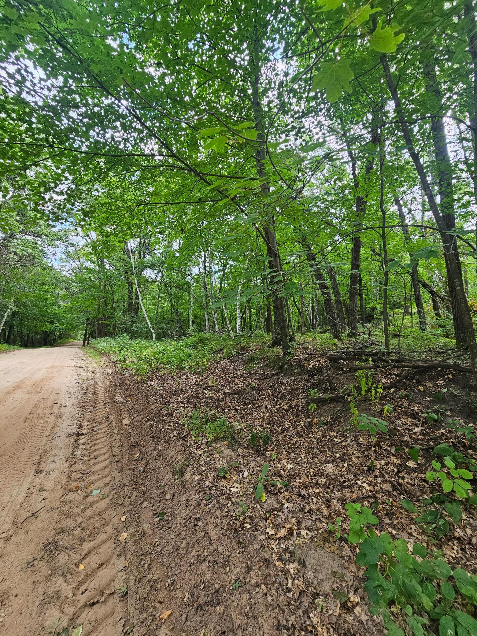 Tbd Tract B Tbd Tract B Richfield Road Southwest Pillager, MN 56473 - Photo 6 of 15