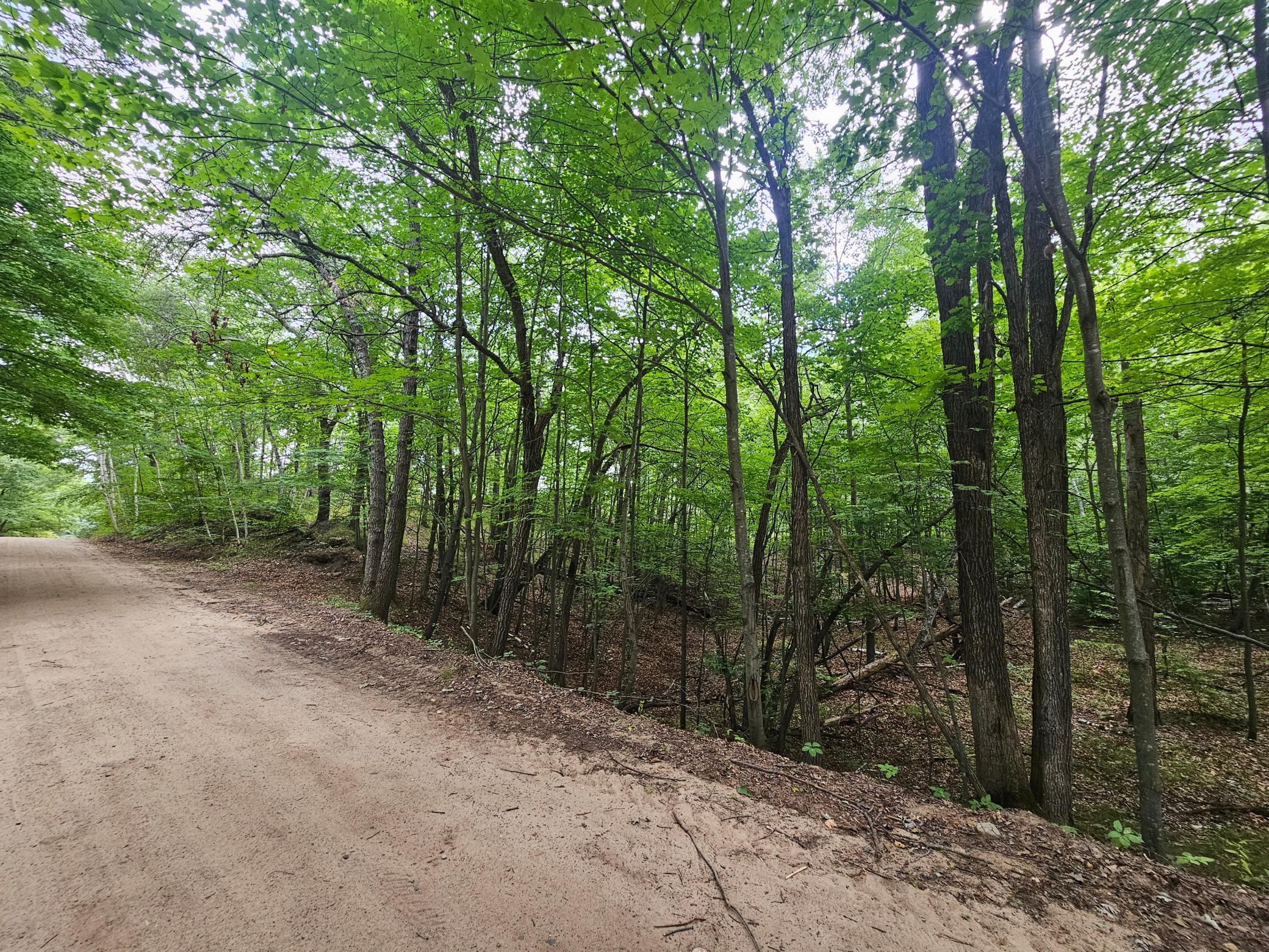 Tbd Tract B Tbd Tract B Richfield Road Southwest Pillager, MN 56473 - Photo 9 of 15