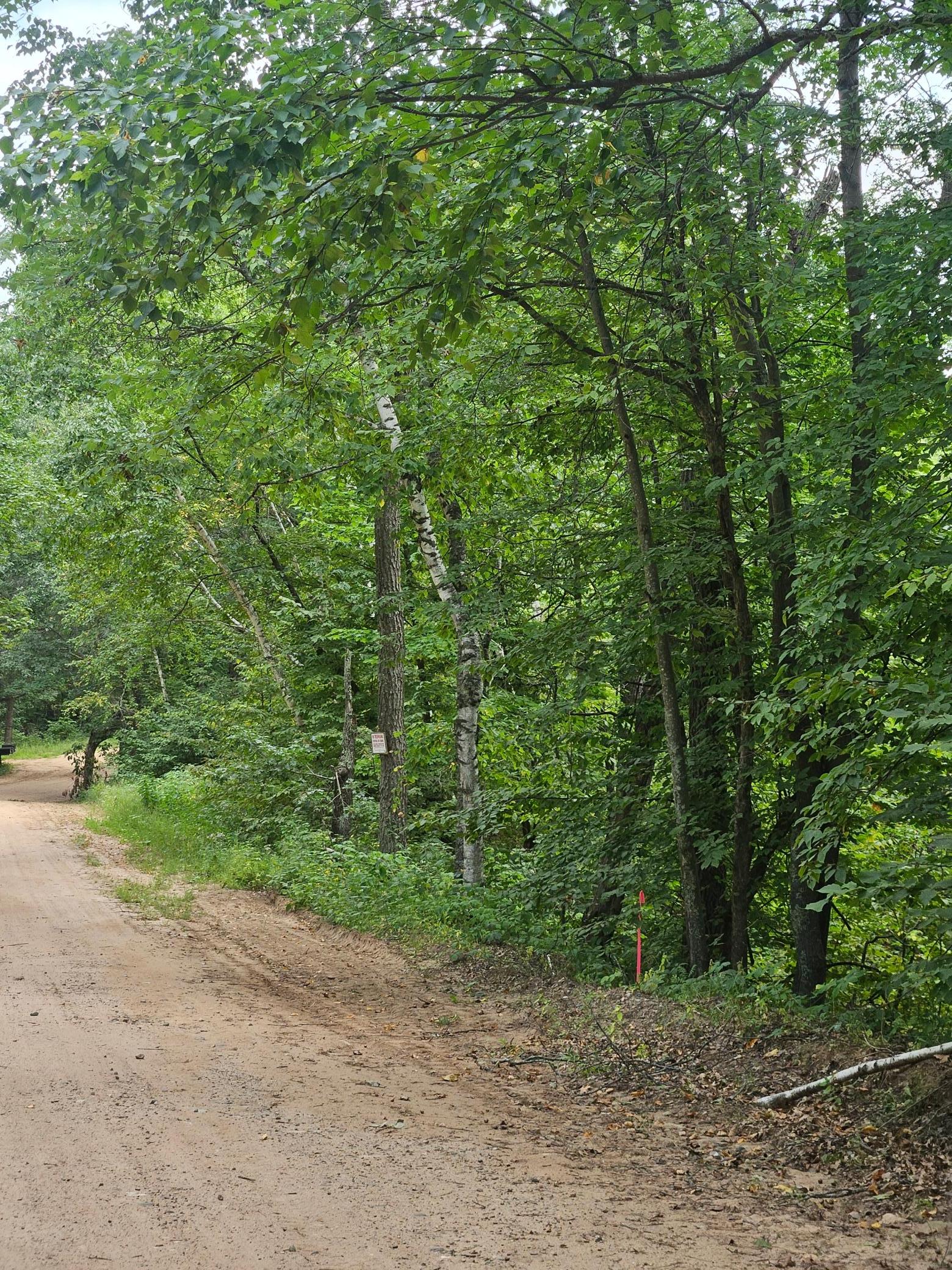 Tbd Tract B Tbd Tract B Richfield Road Southwest Pillager, MN 56473 - Photo 10 of 15