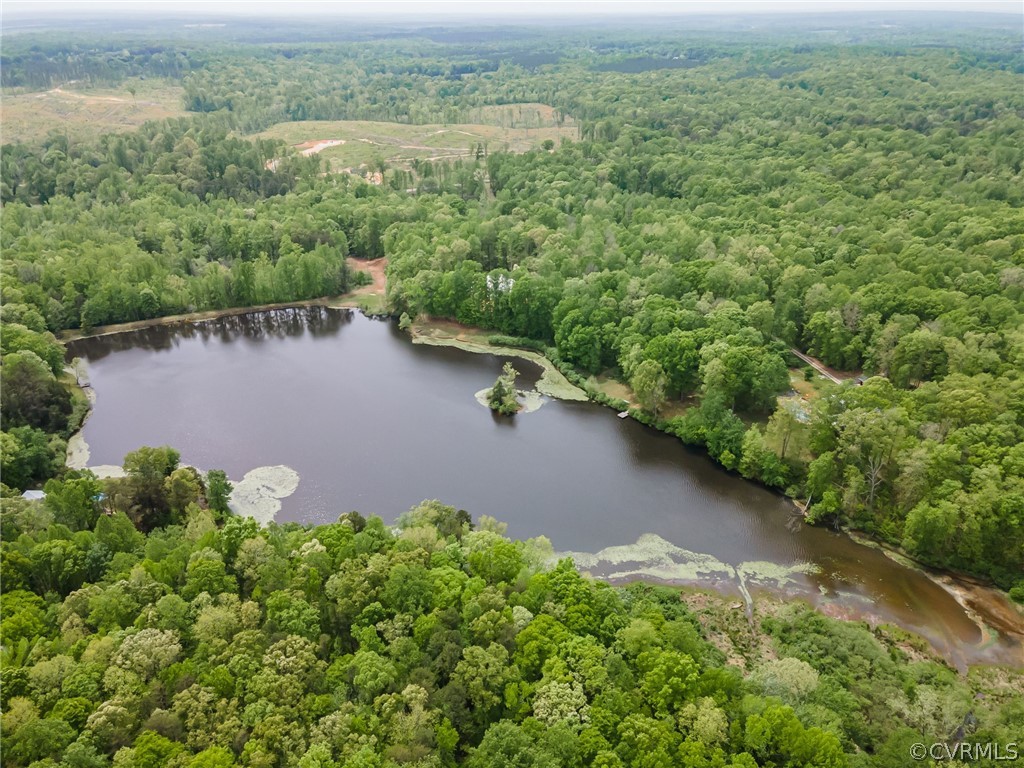 4501 Lakeview Road Gum Spring, VA 23065 - Photo 41 of 45 an aerial view of a city with houses