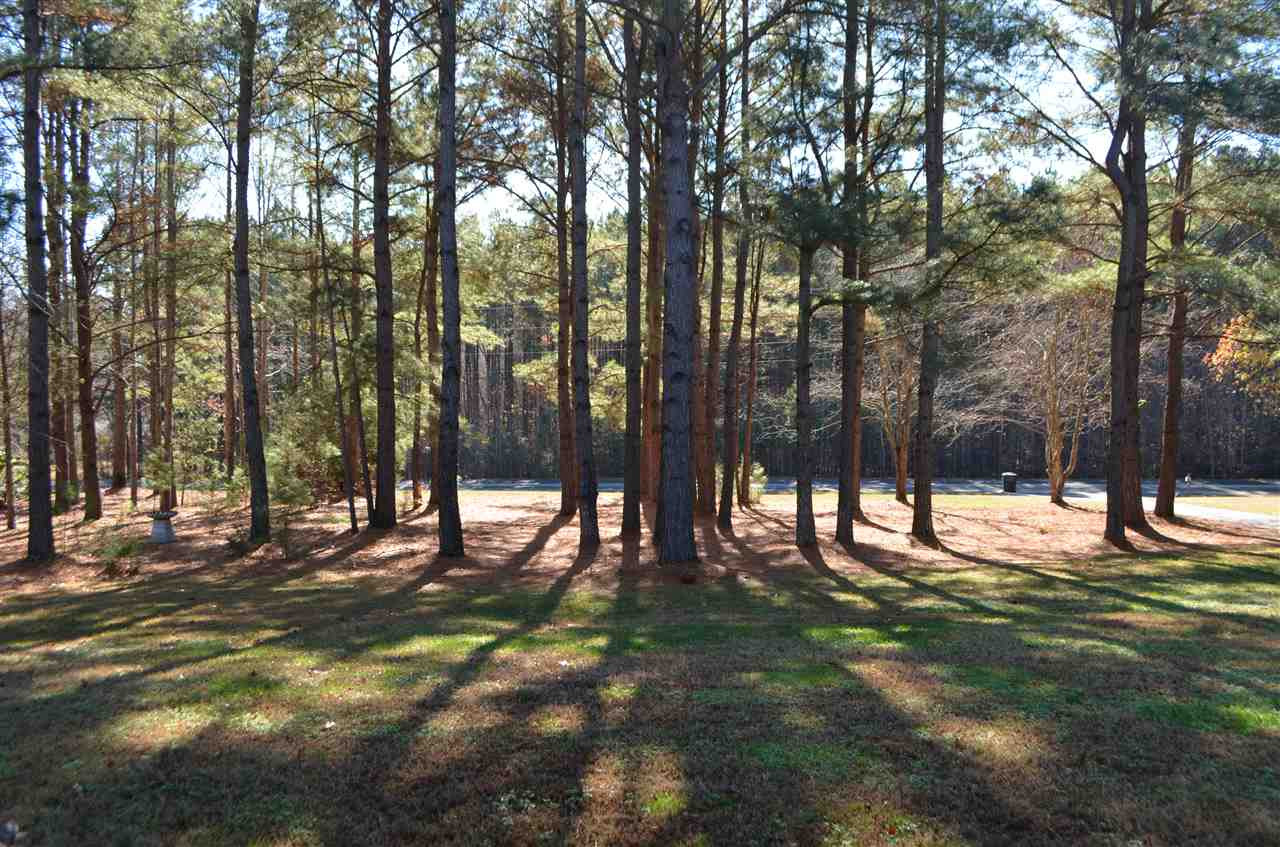 11107 South Lowell Road Bahama, NC 27503 - Photo 15 of 20 Photo 15