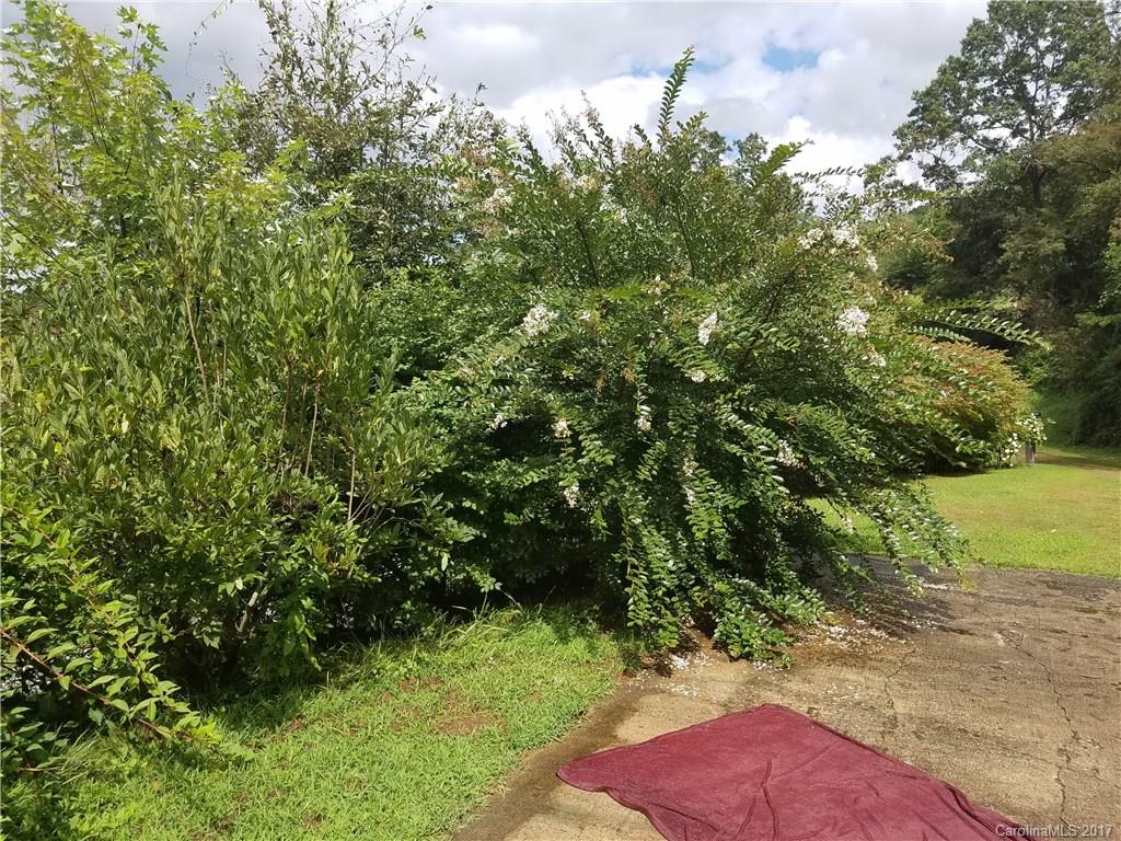 433 Abel Road Canton, NC 28716 - Photo 7 of 18 a view of a yard with plants