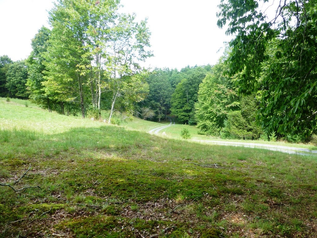 2600 Flat Mountain Road Alderson, WV 24910 - Photo 28 of 37 Gallery Image 28