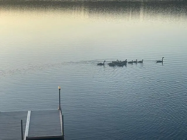 $780,000 | 33 Gerber Lane, Monmouth, ME 04259