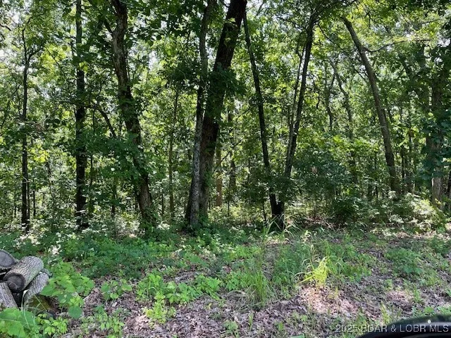 $90,000 | Chateau Oaks Drive, Brumley, MO 65017