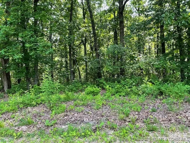 $90,000 | Chateau Oaks Drive, Brumley, MO 65017