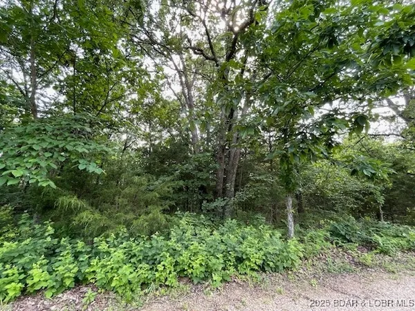 $90,000 | Chateau Oaks Drive, Brumley, MO 65017