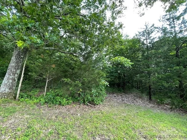 $90,000 | Chateau Oaks Drive, Brumley, MO 65017