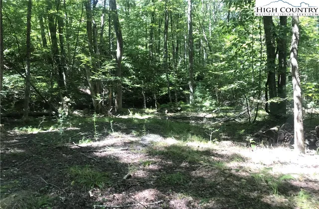 a view of lake with green space
