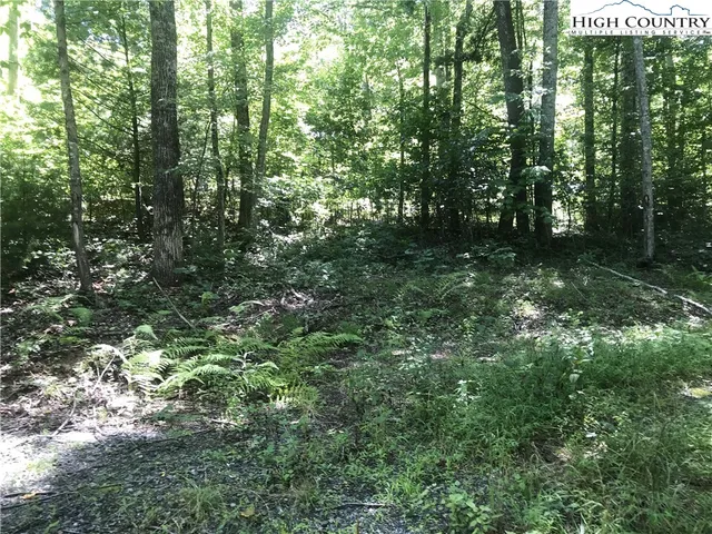 a view of outdoor space and trees