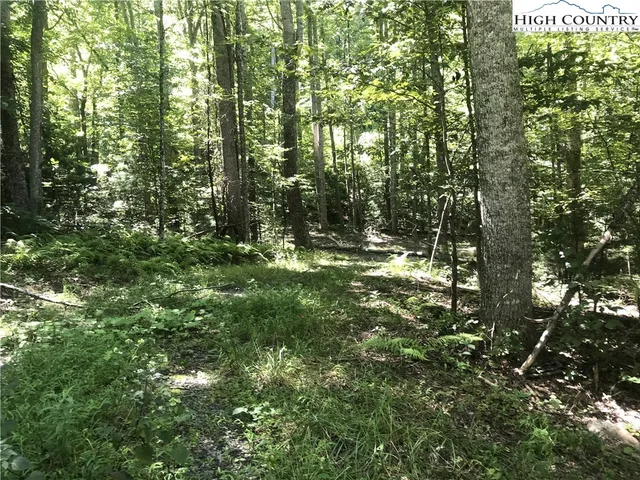 a view of outdoor space and a yard